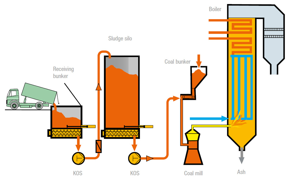 Schematic Plant description of Co-incineration of sewage sludge in coal-fuelled power stations