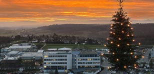 Christmas and New Year greetings