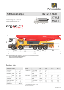 BSF 56-5 EU Typenblatt DE